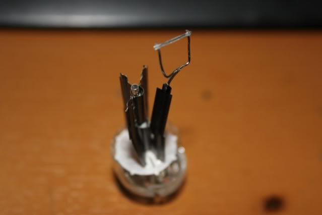 [Image: IMG_4007_800x533.jpg]