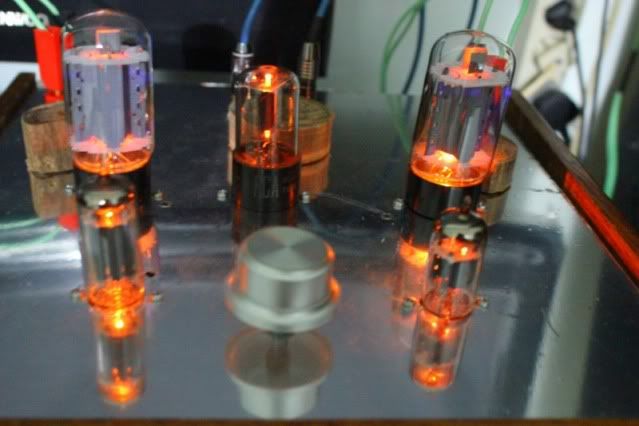 [Image: IMG_4043_800x533.jpg]