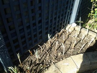 20150804_093209.jpg