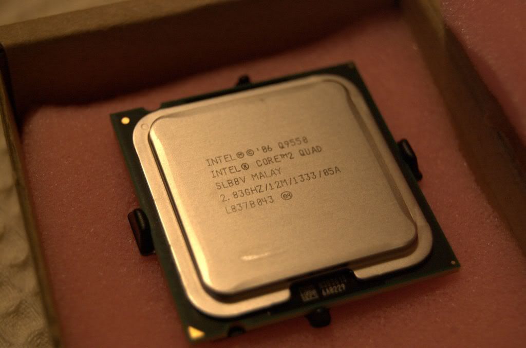 q9550.jpg