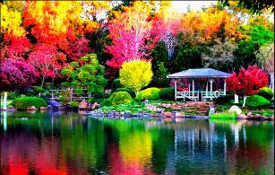 colorful-7.jpg color tree image by bumblebexy