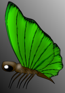 green_butterfly.png