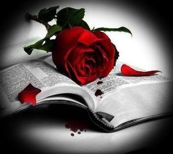 Bible Rose