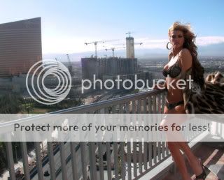 Amber Smith Wikipedia - Amber Smith's blog